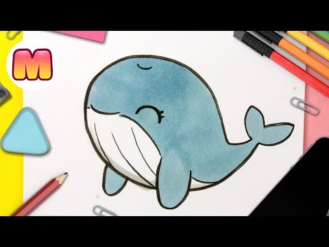 Video: Cómo Dibujar Ballenas