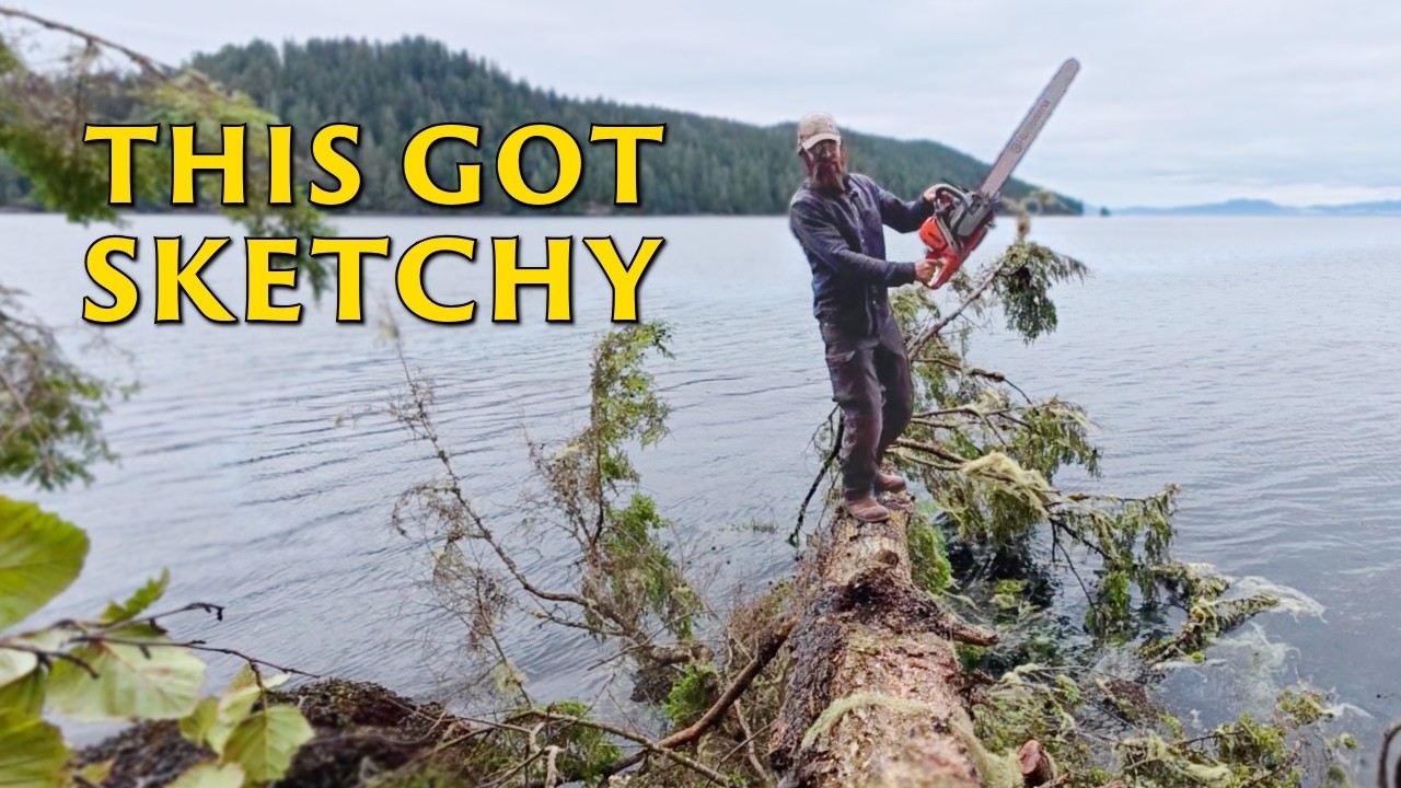 ⁣We Returned to the Remote Alaska Property We Helped Rescue