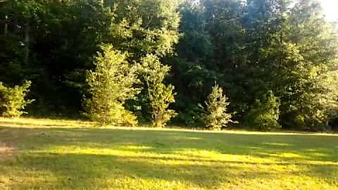 Paintball shooting ( funny)