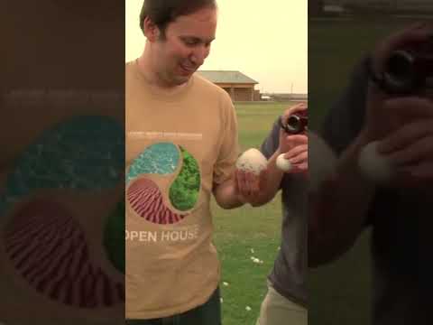 That's Some Huge Hail! Epic Hail Storms Clip 06 #shorts