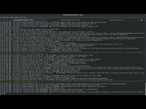 Configuring JBoss EAP