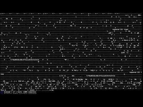 TLS Heartbleed Revisited /DEMO