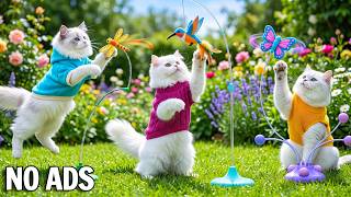 12 HOURS Cat TV Calming Sounds 🐾 Soft Music to Help Cats Relax, Sleep & Feel Comforted 🎶 No ADS screenshot 3