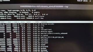 Altair Access 2026 Poor Performance  screenshot 4