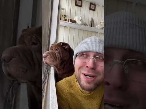 Понедельник #юмор #андрюша