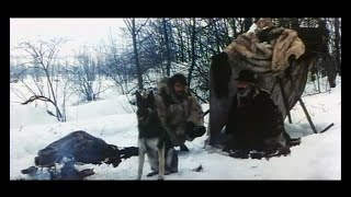 Белый Клык и одинокий охотник (1975)