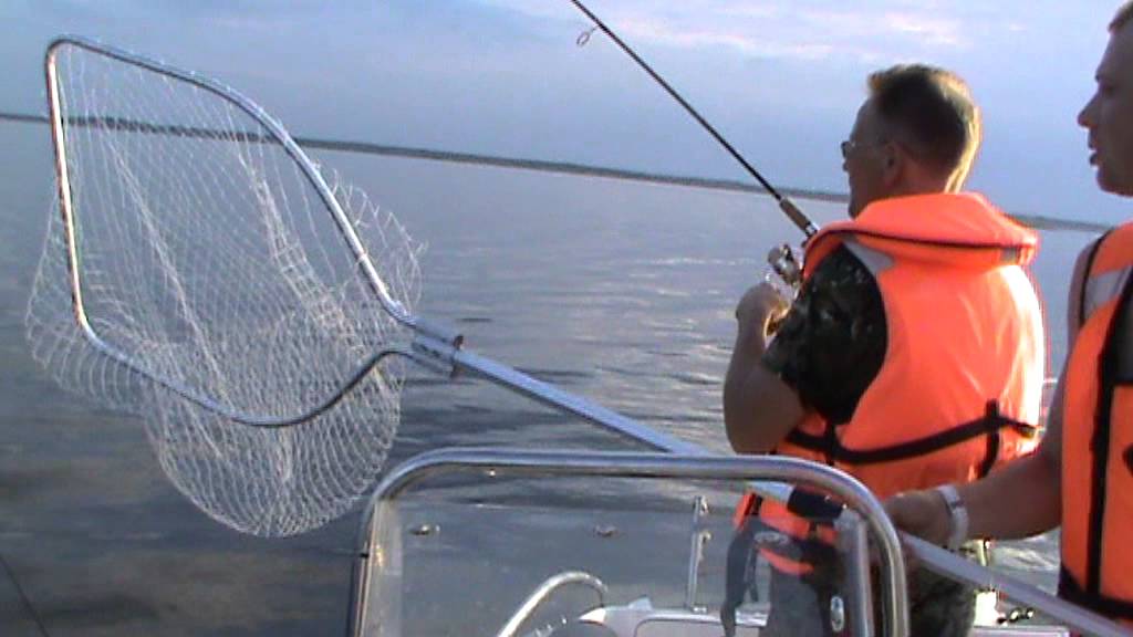 Рыбалка в Весьегонске. - YouTube