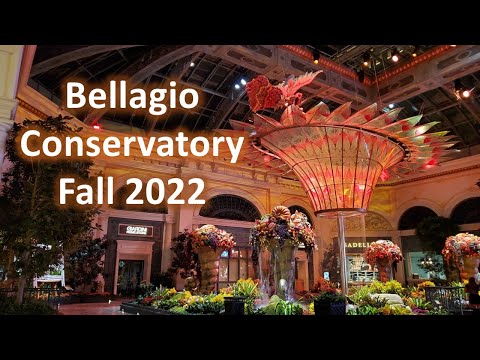 Bellagio Conservatory 2022