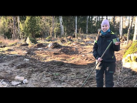 Video: De Bästa Natur- Och Hemmemedlet För Sår