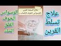 علاج تسلط القرين الوسواس الخوف القلق الغمة الإكتئاب كراهية الحياة الشك في الناس علاج تسلط القرين الوسواس الخوف القلق الغمة الإكتئاب كراهية الحياة الشك في الناس