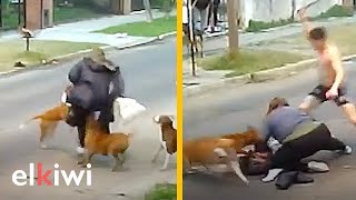 Feroz ataque de 3 pitbulls a indefensa mujer tiene un final inesperado