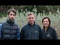 Azienda Agricola Vivai Bonelli Alviano  - STORIES by IT&#39;S TUSCANY