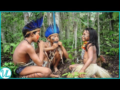એમેઝોન રેઈનફોરેસ્ટમાં આદિવાસીઓ આ રીતે રહે છે!
