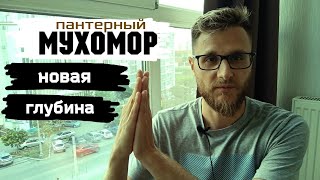 Мухоморы | Не каждый к этому готов