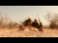Save Safaris   Cater 2012
