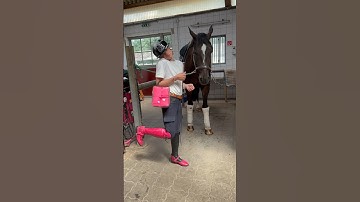 Pink is for everyone 😎💖 #viral #horse #equestrian #riding