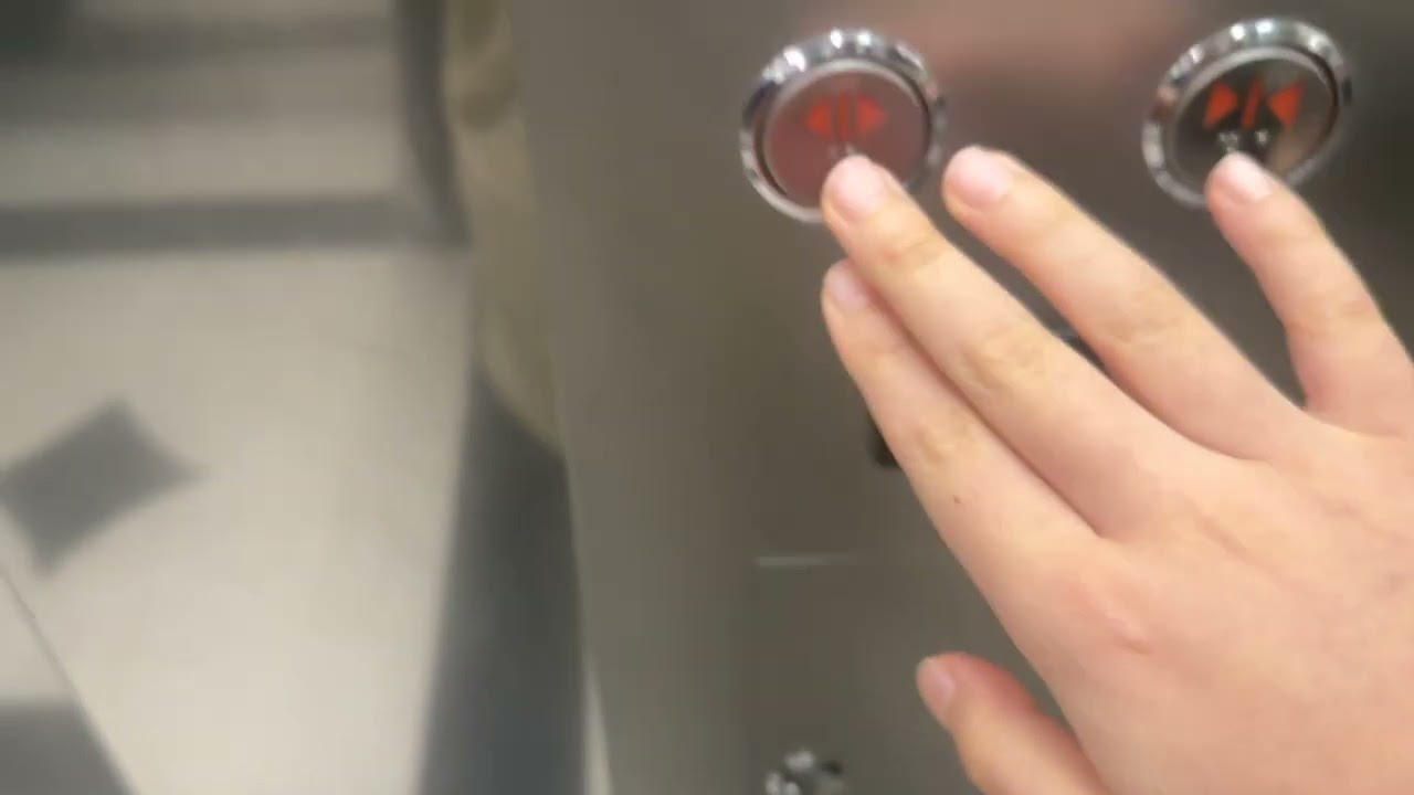 전라남도 여수시 오동도로 61-11 아쿠아플라넷 여수 현대엘리베이터 탑사기