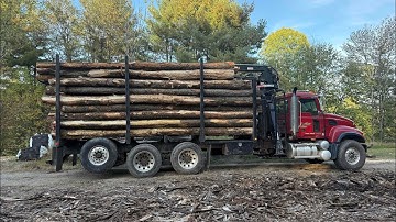 Vrachtwagenlading boomstammen