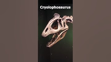 Antarctic Dinosaurs?🥶🤯🐧#science #education #dinosaur