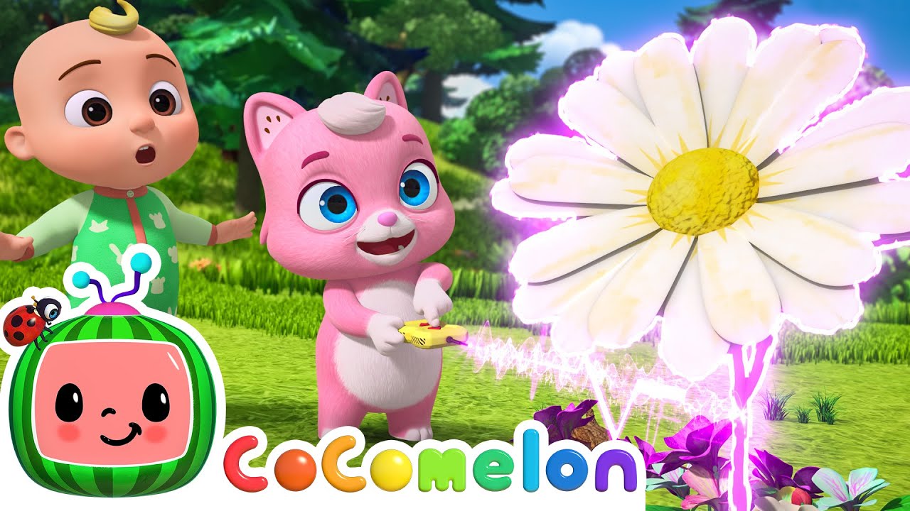 Big And Small NEW CoComelon Animal Time Animals For Kids YouTube Big and small new cocomelon animal time animals for kids youtube