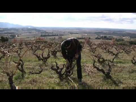 Lay & Wheeler 2009 Rhone Trip to Taste the 2007 Vintage