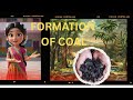 How Coal is Formed: From Swamps to Electricity in 5 Minutes!