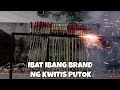Youtube Thumbnail title