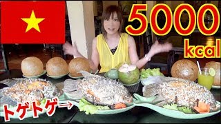 【MUKBANG】 [IN Vietnam] 26 Elephant Fish Spring Rolls & 5 Unique Rice balls!! About 5000kcal[Use CC]