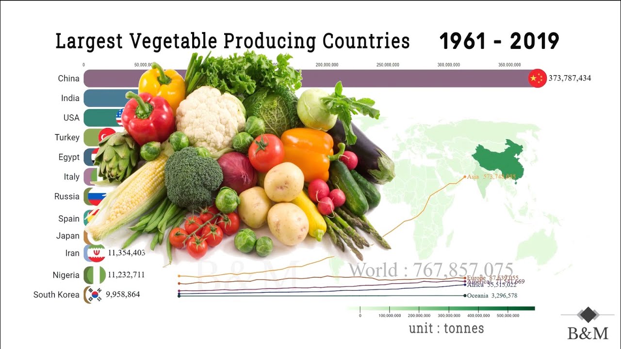 Largest Vegetable Producing Countries YouTube