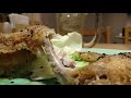 ASMR eating Snack 手羽先とハイボール