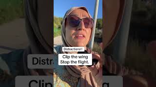 STOP IT, Clip the wing stop the flight #Freedom #Border #Control #Government #fypage