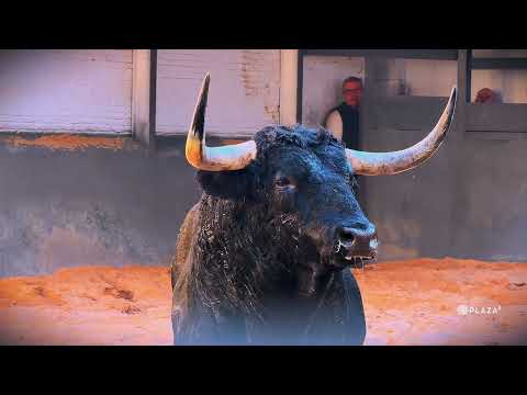 Desembarque de los de Martín Lorca para el Domingo de Resurrección