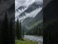 Misty Mountain Valley | Relaxing Nature 🌿🏔️#nature #mountain #cinematic #forest #relaxing