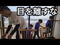 【最安値】漁港内の日本一安価な海鮮料理屋で1,000円の刺身定食を頼んだら予想外な事が起きました。家族で神戸の穴場スポットを探す旅
