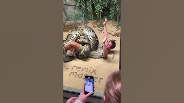 Zookeeper trapped in serpentarium 😳🐍