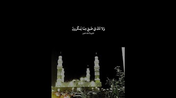 واصبر وما صبرك الا بالله.              #قرآن #تلاوة_خاشعة #آيات #قرآن