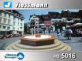 Wwwreynauldscom viessmann 5016 multistream fountain