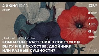 Дарья Костина. Комнатные Растения В Советском Быту И В Искусстве: Двойники Или Разные Сущности?