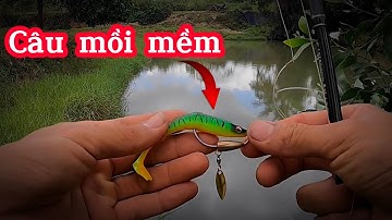 Cách câu lure cá lóc bằng mồi mềm cho anh em mới chơi.