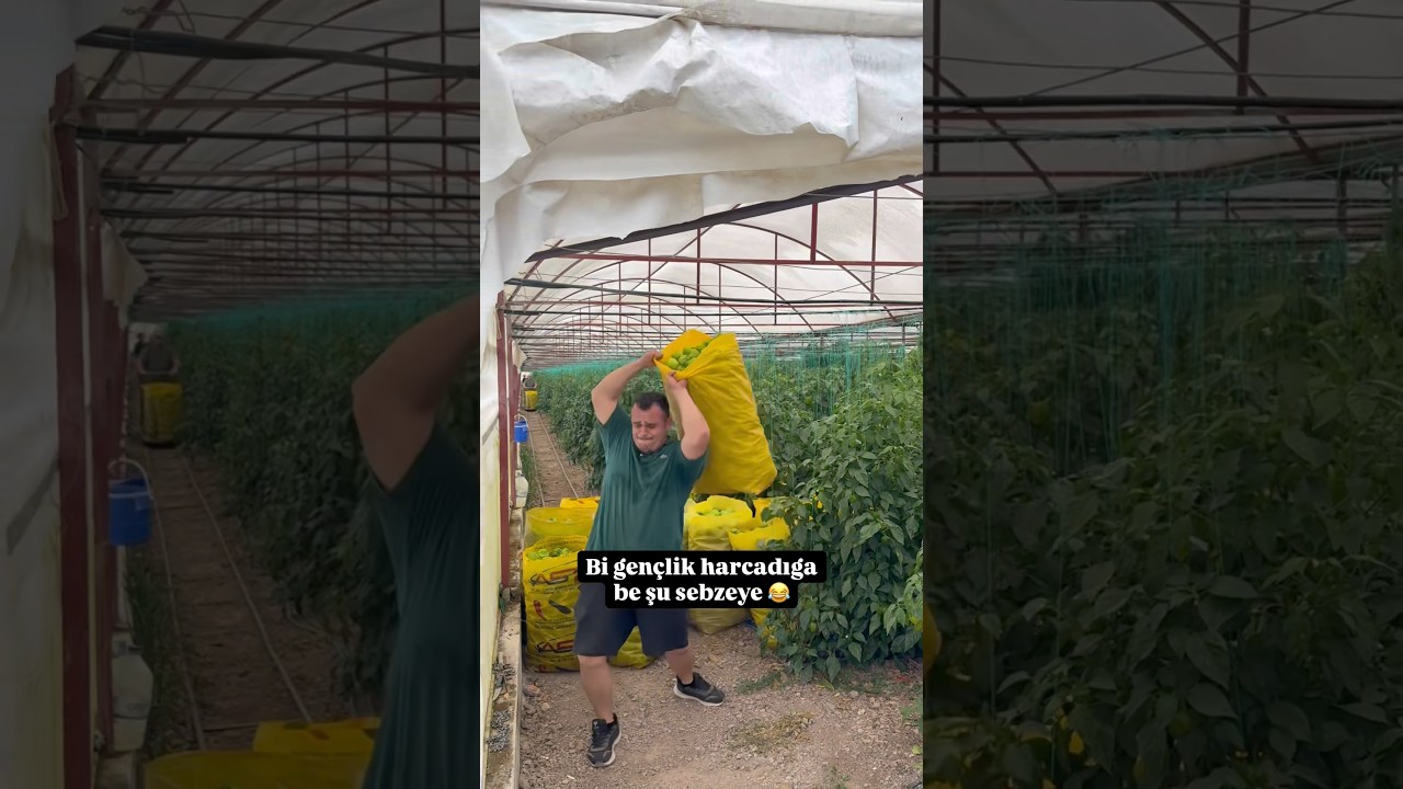 Rica etsem abone olurmusunuz 🤗#yemektarifleri #ytdayibenionecikarnolur #viral #yemek #youtube Rica etsem abone olurmusunuz 🤗#yemektarifleri #ytdayibenionecikarnolur #viral #yemek #youtube