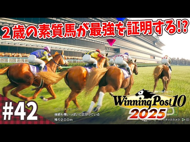 競馬SLG】国内を勝って海外に行きたい『ウイニングポスト10 (2025