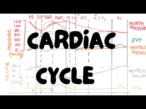 Cardiac Cycle Simplified With Diagrams | Physiology | Lectures by Omer