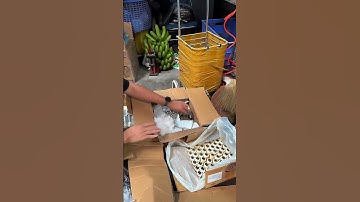 Đầu Xịt Áp Lực Thuốc Sâu Reload 730 Và Dòng 7 Series Có Phụ Tùng Thay Thế Không