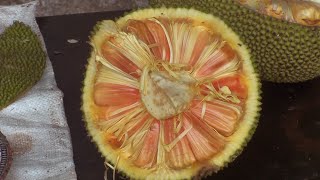 Jackfruit varieties