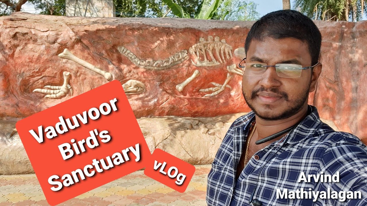 Vaduvoor Bird's Sanctuary - Small Vlog | Tamil | Arvind Mathiyalagan