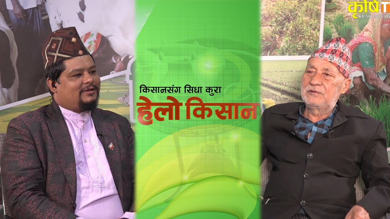 गोलभेँडा खेतीका प्रसारका नायक डा. केदार बुढाथोकीसँग लाइभ  || HELLO KISAN ||ASHIM SAPKJOTA