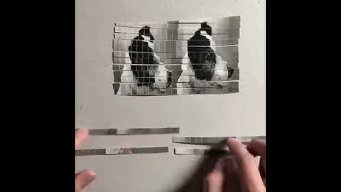 This is how photo compression basically works ( Simplified)