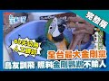 台中【蠶寶寶突變種 天蠶黑旋風／金剛鸚鵡鳥友 最大金剛黨／陰間銀行 手工金紙老字號】 │2018.08.14│《台灣第一等》完整版