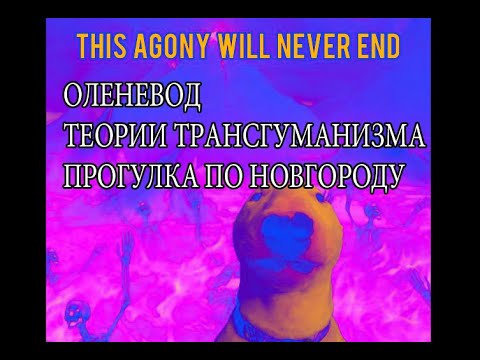 Видео: ОЛЕНЕВОД, ТЕОРИИ ТРАНСГУМАНИЗМА И ПРОГУЛКА ПО НОВГОРОДУ