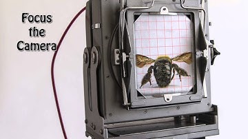 Large Format Setting the Lens